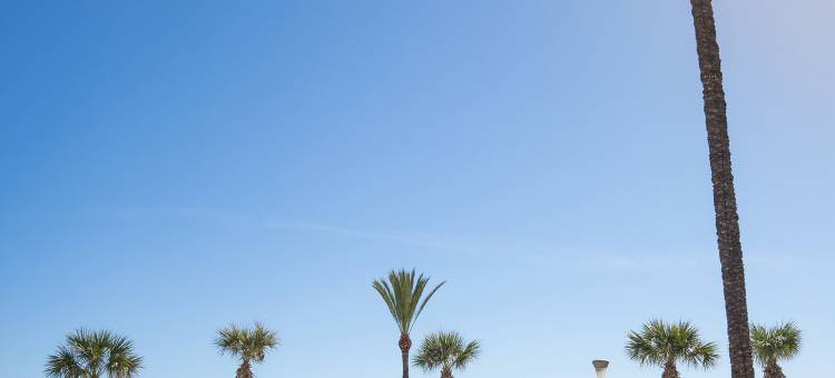 科斯塔布兰卡美利亚怡思得酒店(仅限成人)(INNSiDE by Meliá Costablanca - Adults recommended)图片