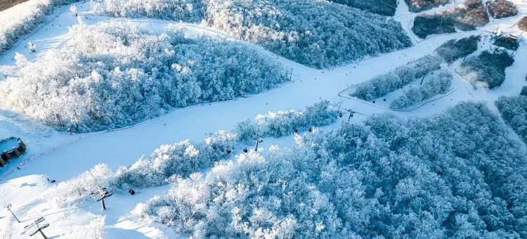 万科松花湖雪屿公寓图片