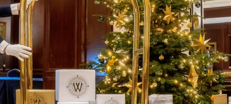 布鲁塞尔威尔彻施柏阁大观酒店(Steigenberger Icon Wiltcher's)图片