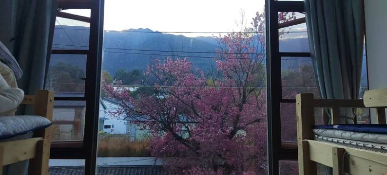 自由城·国际青年旅舍(大理古城三月街店)图片