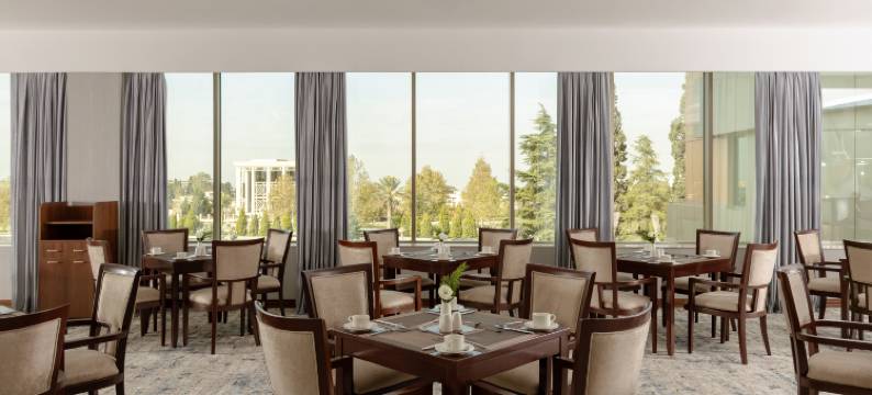 让斯温德姆华美达广场酒店(Ramada Plaza by Wyndham Gence)图片