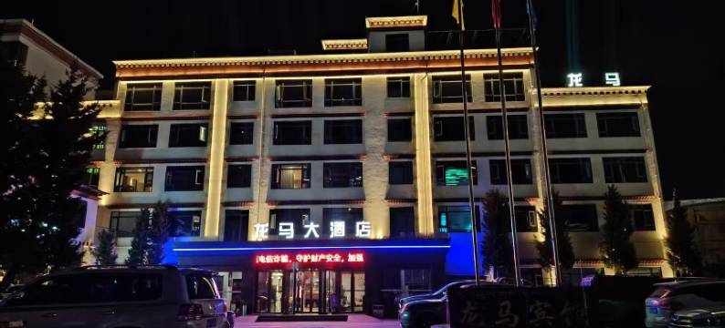 龙马大酒店(山南市政府店)图片