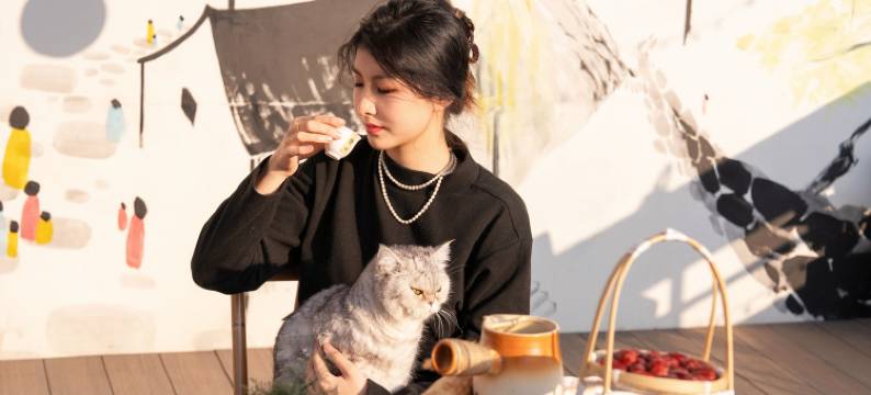 DREAM·梦巷民宿(苏州石路地铁站山塘街店)图片