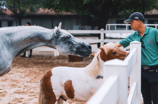 美林湖大家元哥弟酒店图片