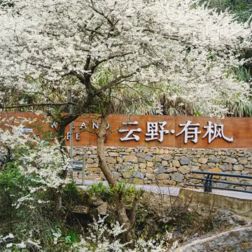 云野有枫·微度假村落民宿图片