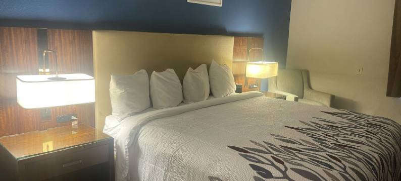 海恩斯维尔红屋顶旅馆(Red Roof Inn & Suites Hinesville)图片