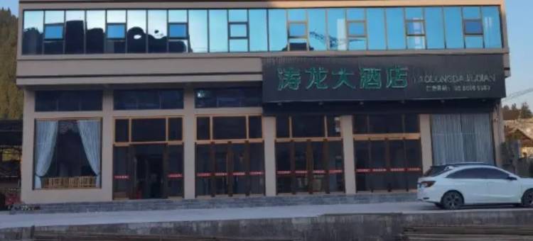 涛龙大酒店图片