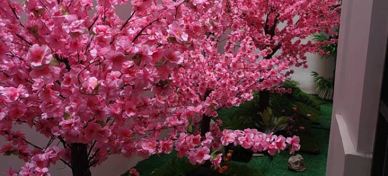 旺苍艾嘉商务酒店图片