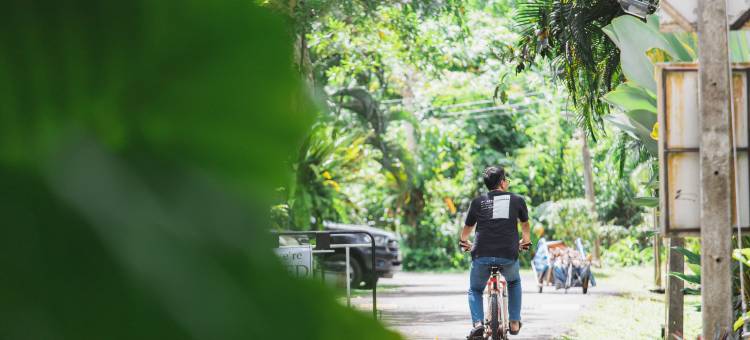 甲米普尔塔拉度假村(Blu Monkey Pooltara Krabi Hotel & Villas Pet Friendly)图片