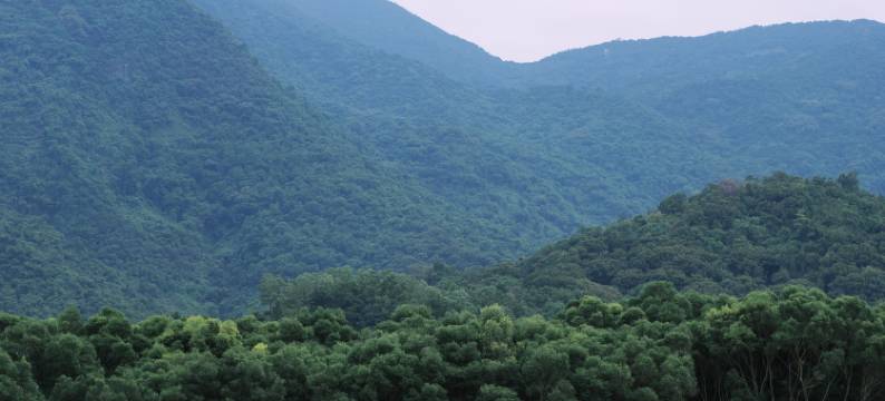 望桐露营地(梧桐山风景店)图片
