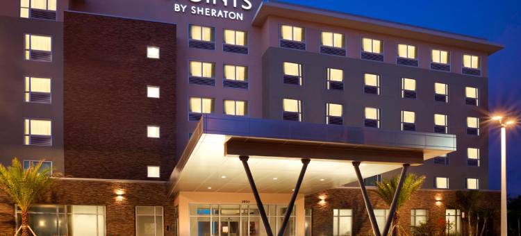 迈阿密机场福朋喜来登酒店(Four Points by Sheraton Miami Airport)图片
