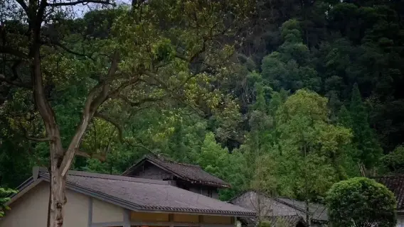 民宿