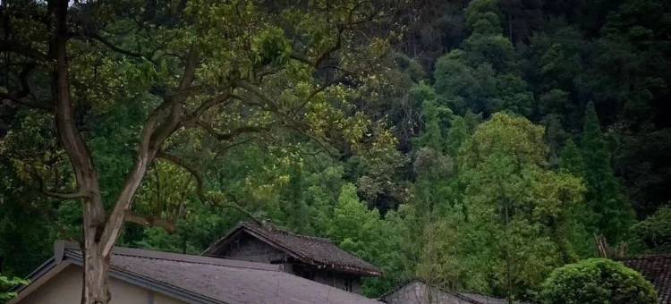 乐山千里走单骑度假酒店图片