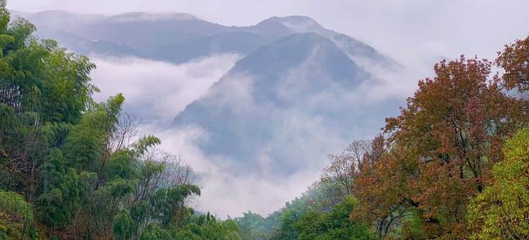 安吉迈岚·密藏山谷·漂游观星图片