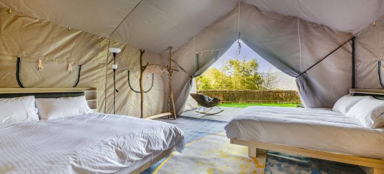 山上种树牛樟森林休闲农场图片