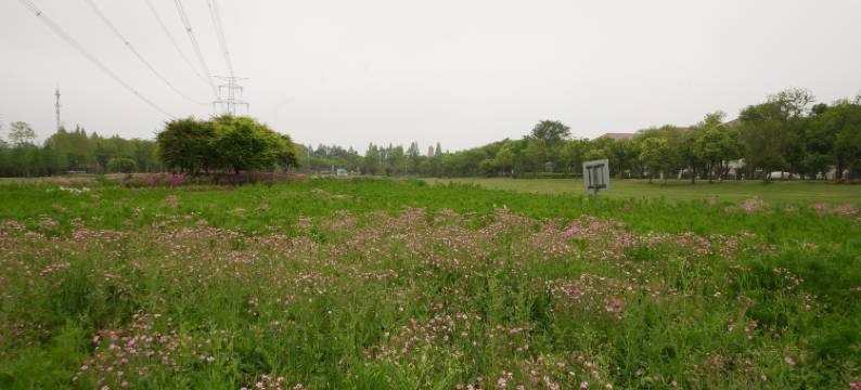海友酒店(上海奉贤开发区浦卫公路店)图片
