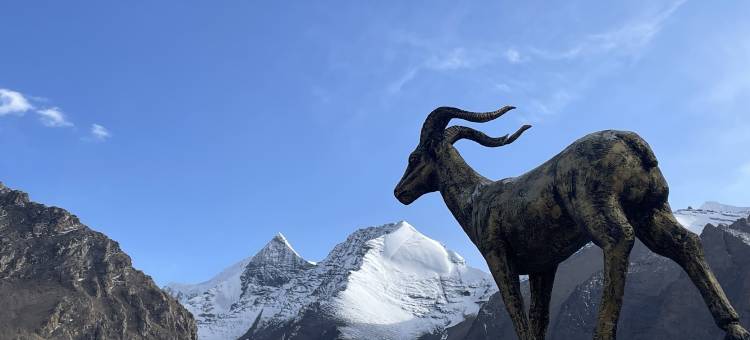 暗夜星辰营地图片