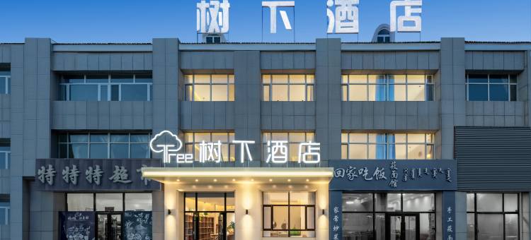 树下酒店图片