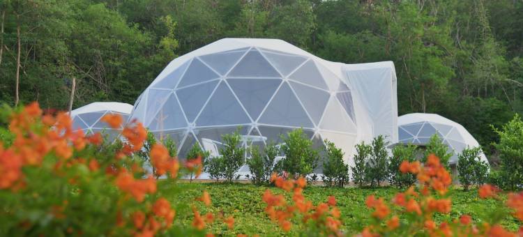 巴冲 - NiNo San 豪华露营地(NiNo San Glamping - Pak Chong)图片