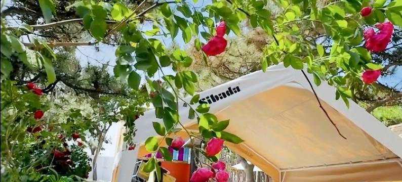 凌海市山野自在轻奢露营基地图片