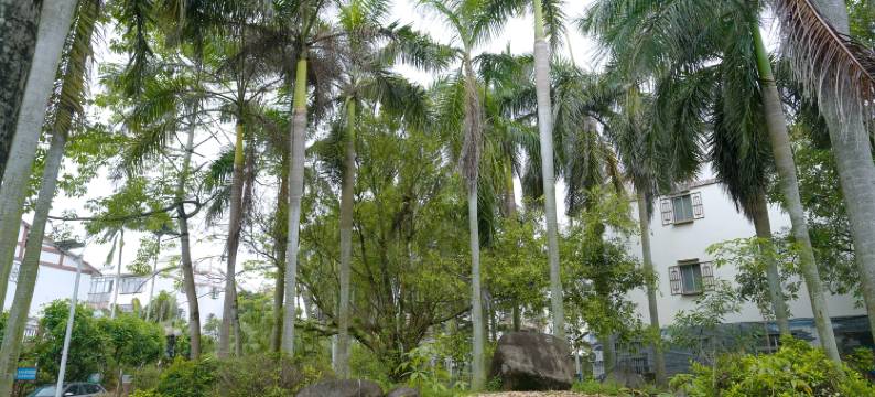 北海正星民宿(银滩店)图片