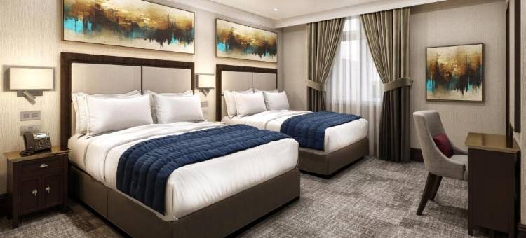 惠灵顿蓝兰花酒店(Wellington Hotel by Blue Orchid)图片