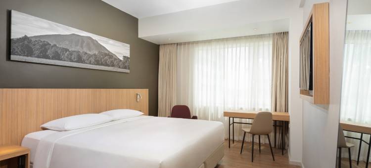 克拉克丽柏酒店(Park Inn By Radisson Clark)图片