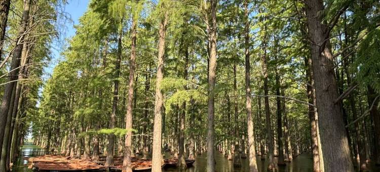 极客电竞民宿(扬州江都商城店)图片