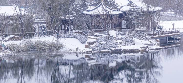 雄安国际酒店图片