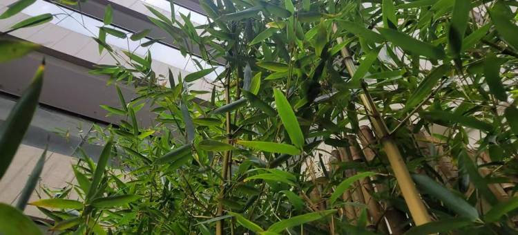 临潮公寓(海宁盐官观潮景区店)图片