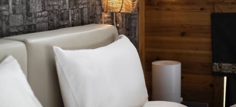 A+东馆温泉酒店图片