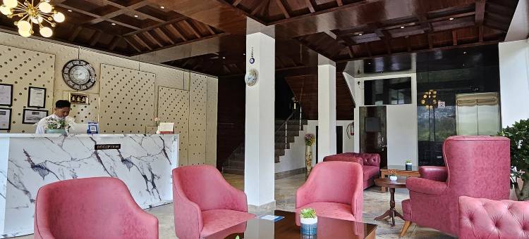 马纳利葡萄山酒店(Vine Hills Manali)图片