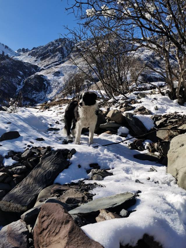 旅想·观雪山Meditate冥想美宿(四姑娘山店)图片