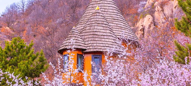 云峰山童话树屋图片