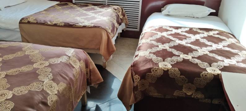 武威天琪缘招待所图片