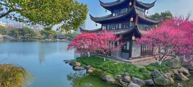 宁波站天一阁月湖亚朵见野酒店图片