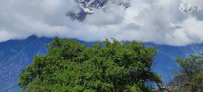 雅鲁仙居(雅鲁藏布大峡谷店)图片