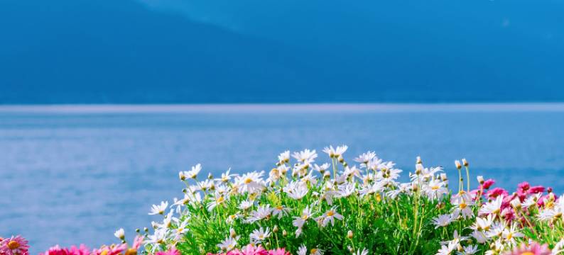 云宝智能酒店(大理高铁站洱海公园景区店)图片