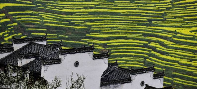 婺源江月风行客桟图片