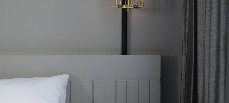 金泽托里菲托酒店(Hotel Torifito Kanazawa)图片