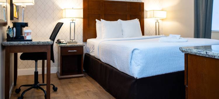 凯艺套房酒店(Quality Inn & Suites Downtown Vancouver)图片