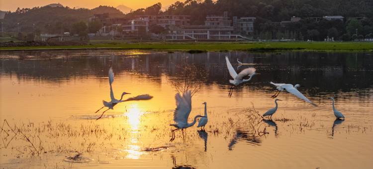 和秧合社·和秧别院图片