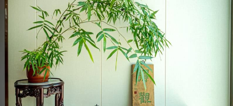 仙游宾馆(仙游县政府店)图片