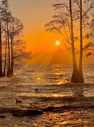 聆海·Chance Encounter庭院花园度假民宿(洱海S湾生态廊道店)图片