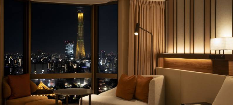 东京浅草豪景酒店(Asakusa View Hotel)图片