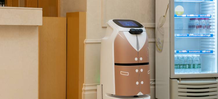 维也纳国际酒店(茶陵店)图片