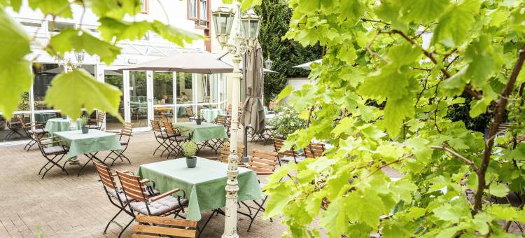 温斯特拉布纽斯塔特 ACHAT 酒店(ACHAT Hotel Neustadt an der Weinstraße)图片