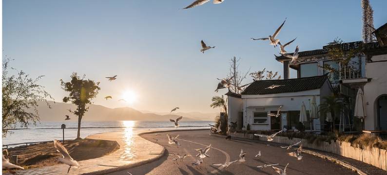 巍山云溪会馆图片