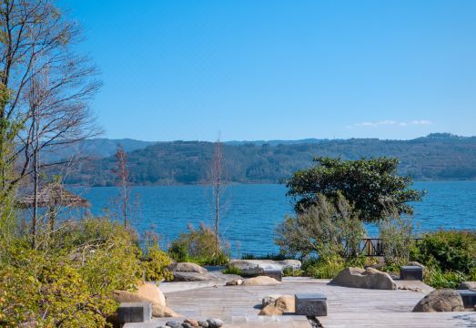 Bosan Hotels & ResortsHotel Overview