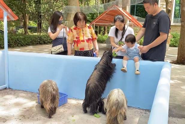 清远恒大酒店图片